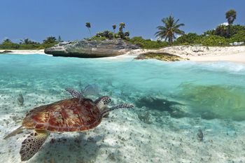 Akumal - Travel destination photo