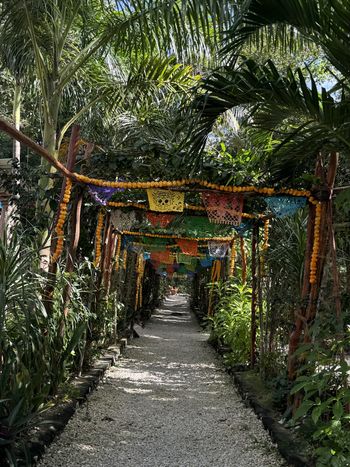 Cenote Calavera - Travel destination photo