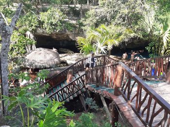 Gran Cenote - Travel destination photo