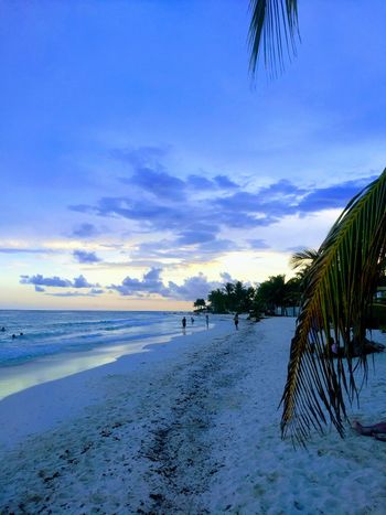 Playacar - Travel destination photo