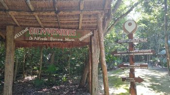 Cancun Airport to Jardín Botanico Dr. Alfredo Barrera Marín Transfer