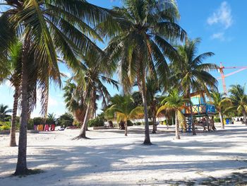 Playa Langosta - Travel destination photo